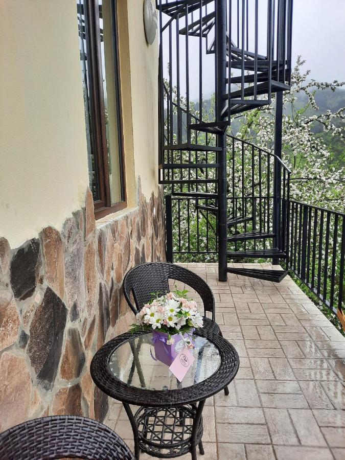 Guest House Bochora Боржомі Екстер'єр фото